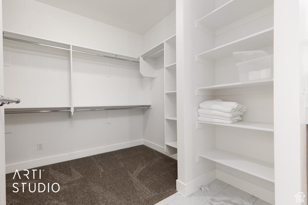 Spacious closet featuring carpet floors