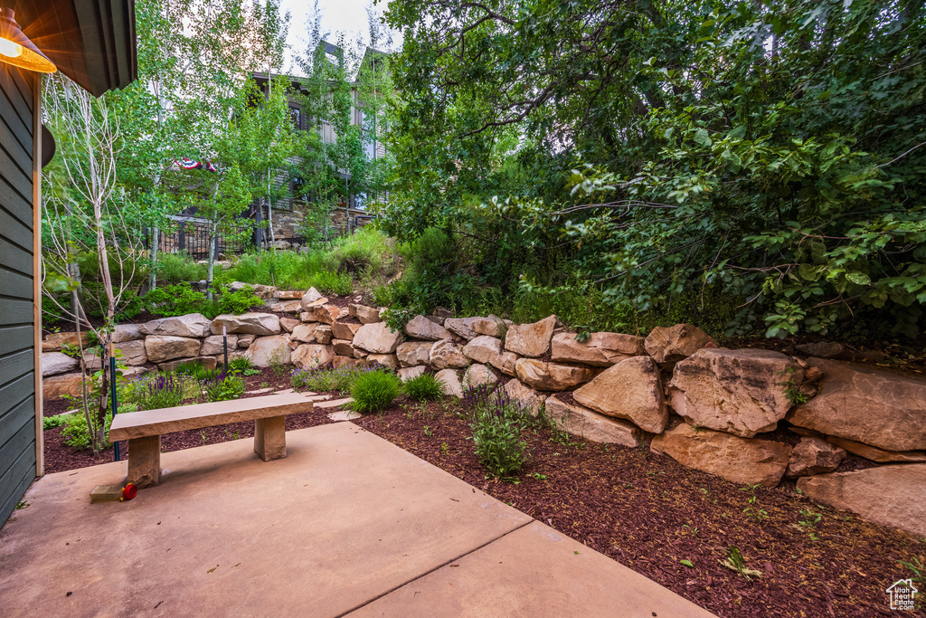 View of patio