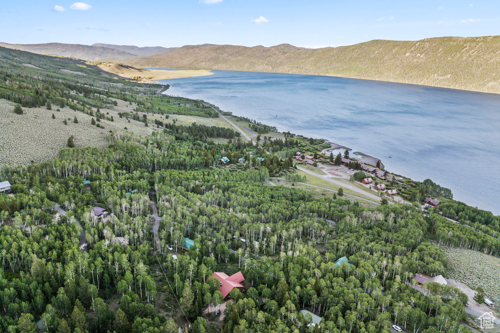 Drone / aerial view with a water and mountain view