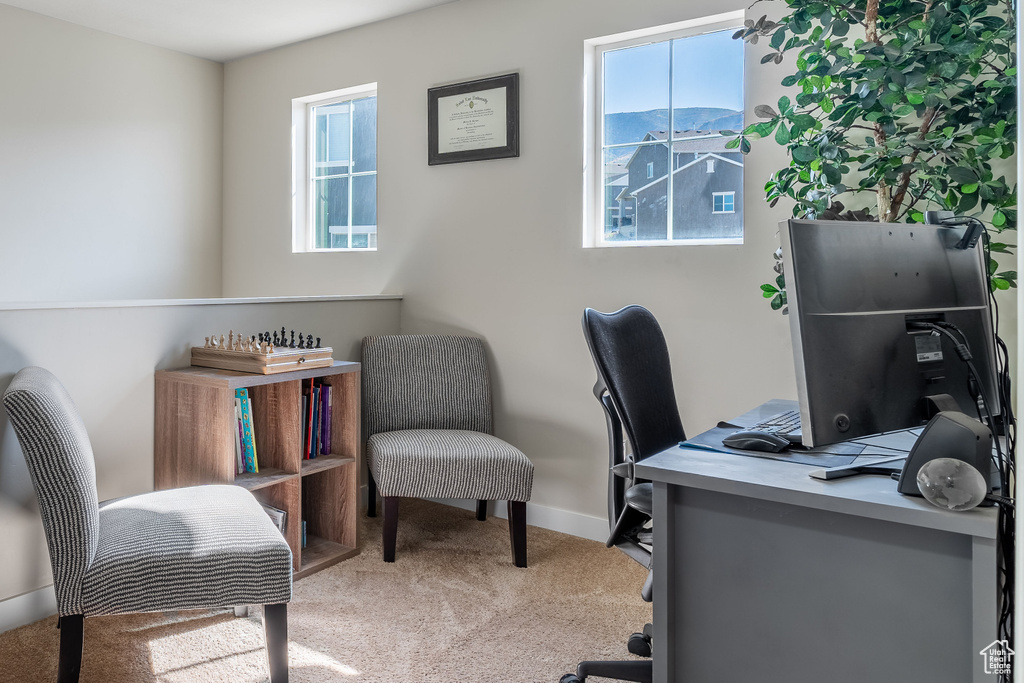 Office area featuring carpet