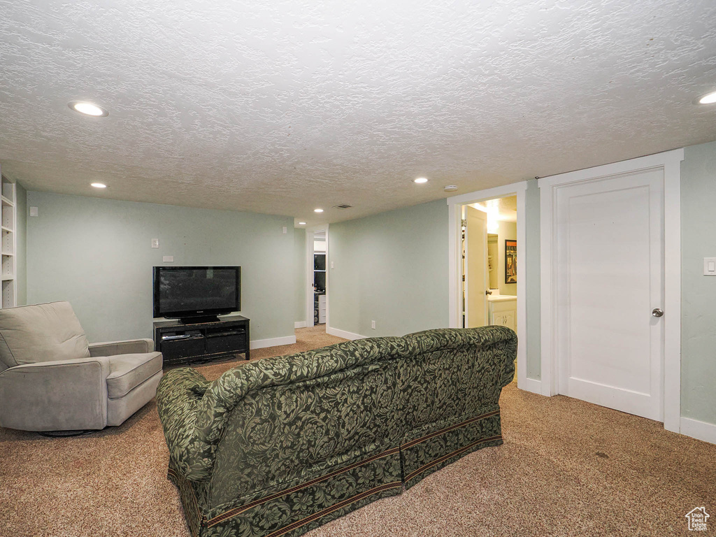 Carpeted living room featuring a textured ceiling