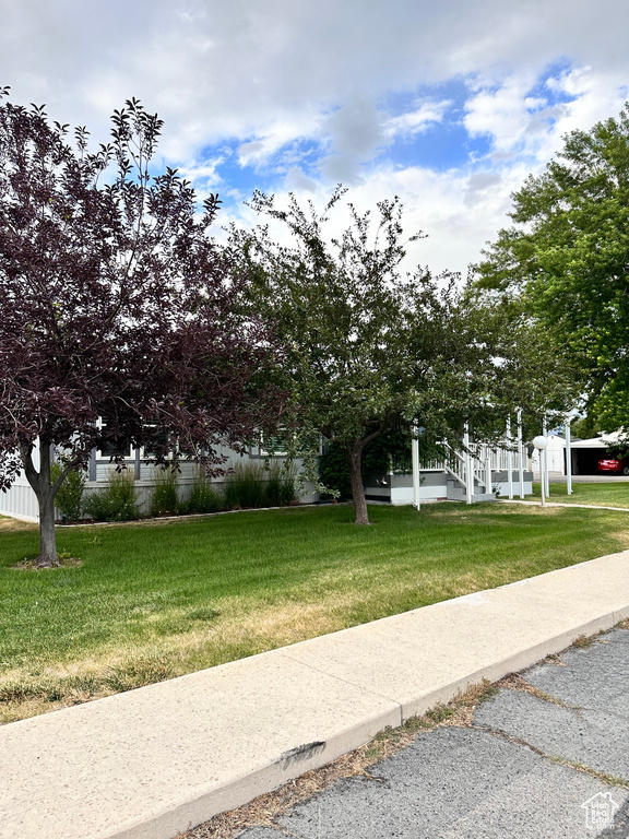 View of property hidden behind natural elements featuring a front yard