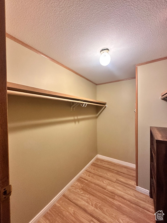 Spacious closet featuring light hardwood / wood-style flooring