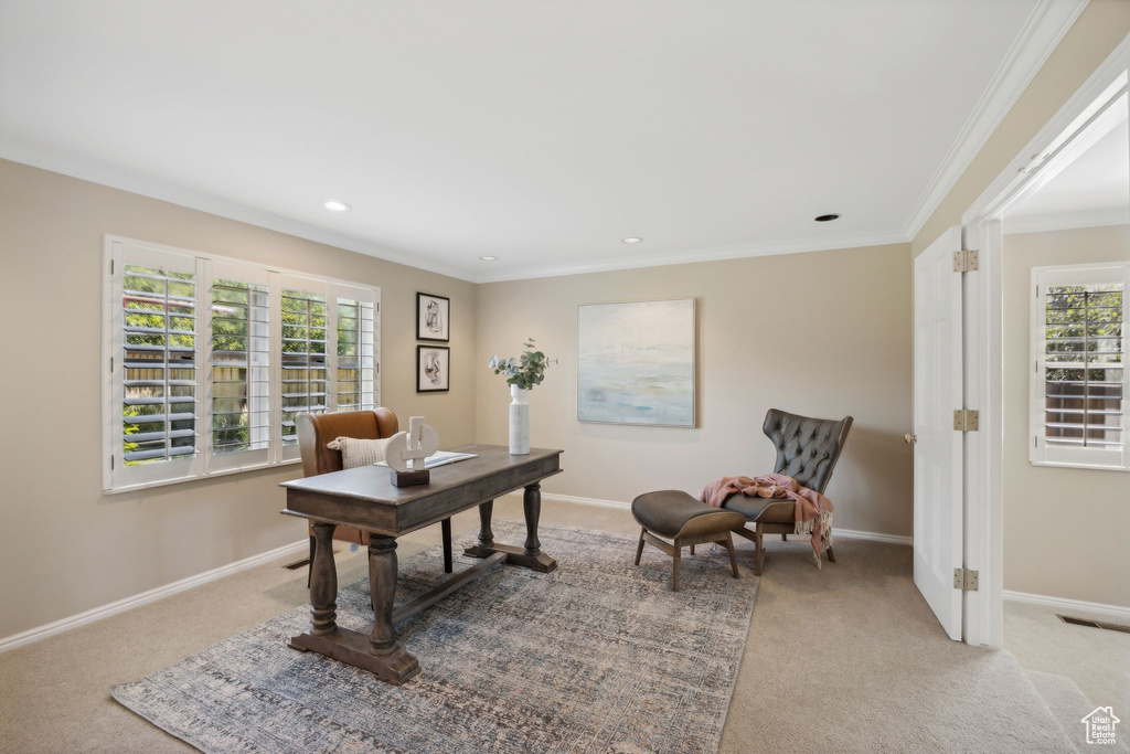 Office with ornamental molding and carpet