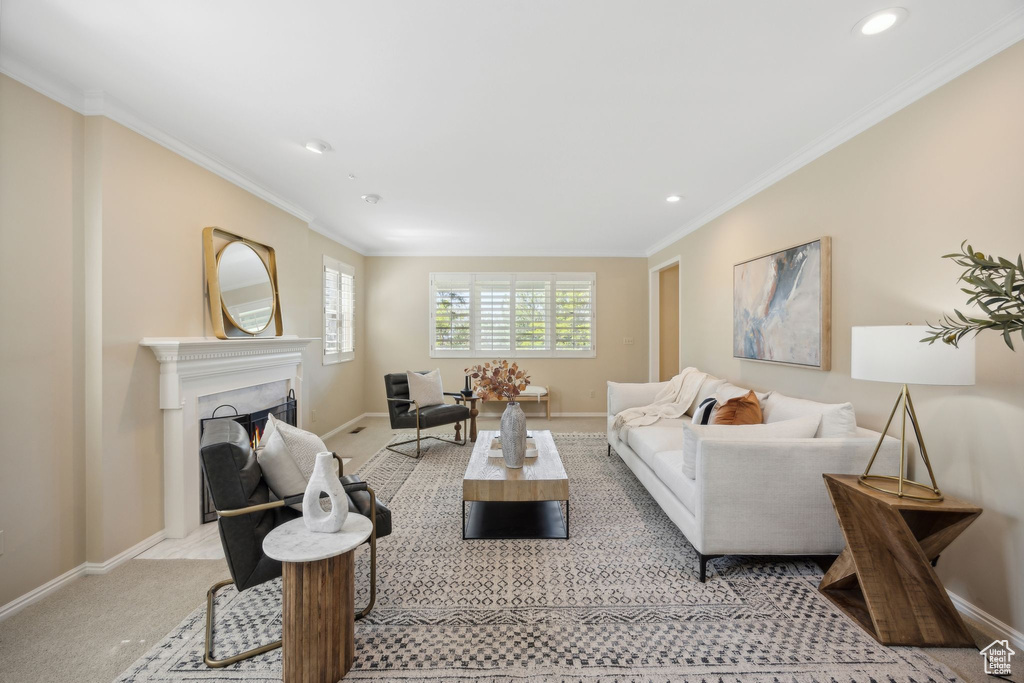 Living room featuring carpet flooring and crown molding