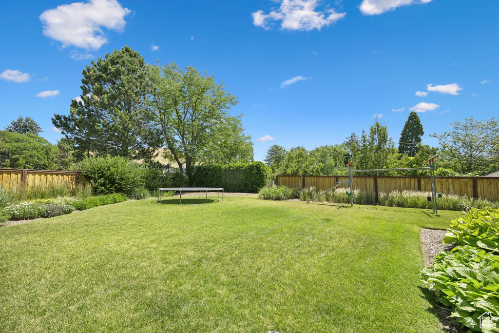 View of yard with a trampoline