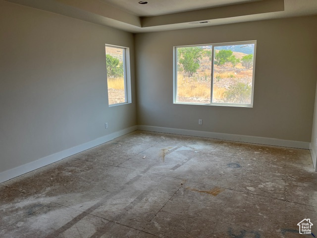 Empty room with a raised ceiling and plenty of natural light