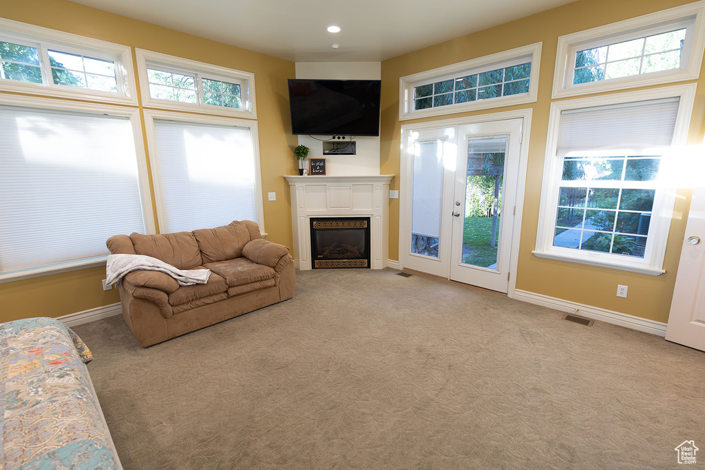 Living room with carpet