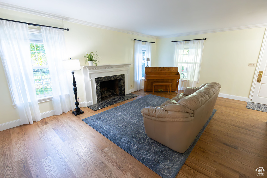 Living room featuring hardwood / wood-style flooring, crown molding, and a high end fireplace