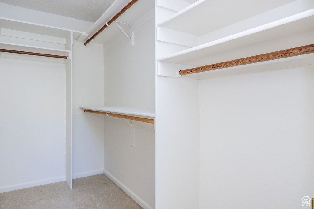 Walk in closet featuring carpet floors