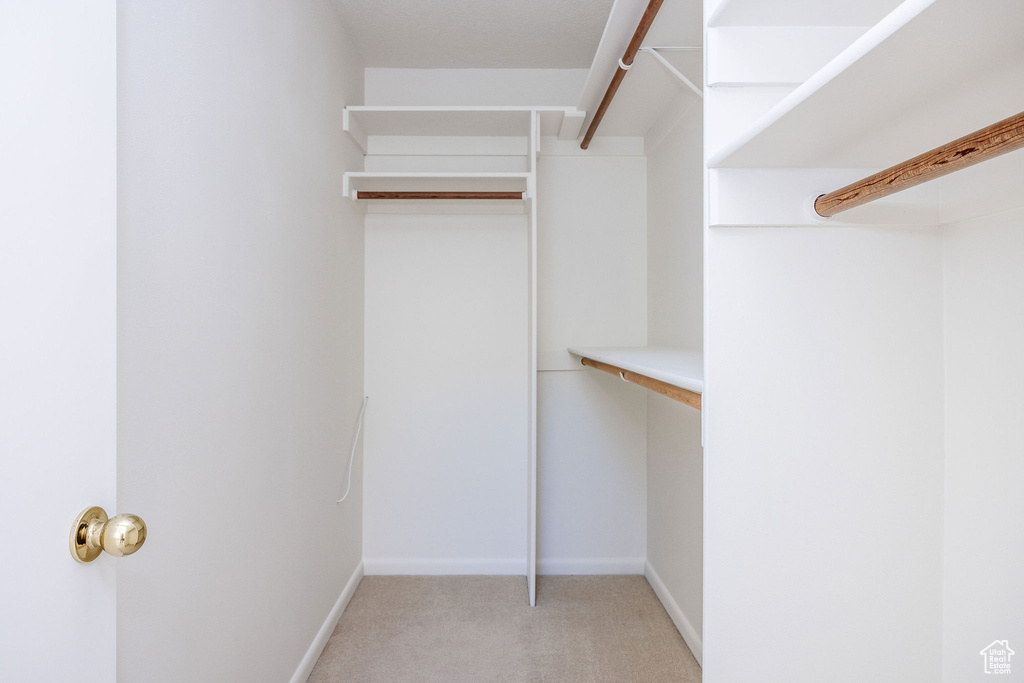 Spacious closet featuring carpet