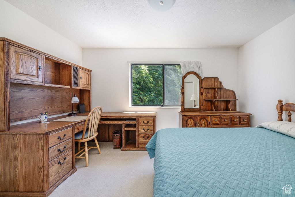 Bedroom with light colored carpet