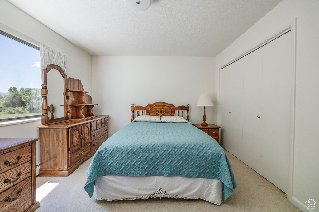 Carpeted bedroom with a closet