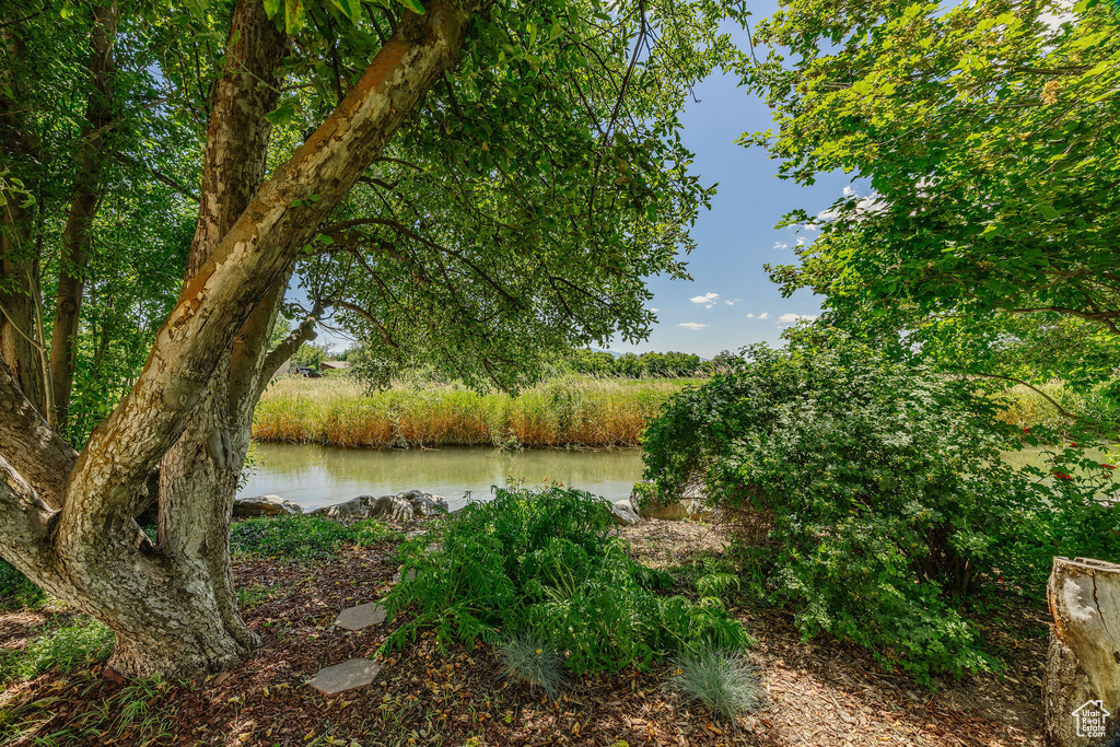 View of yard with a water view