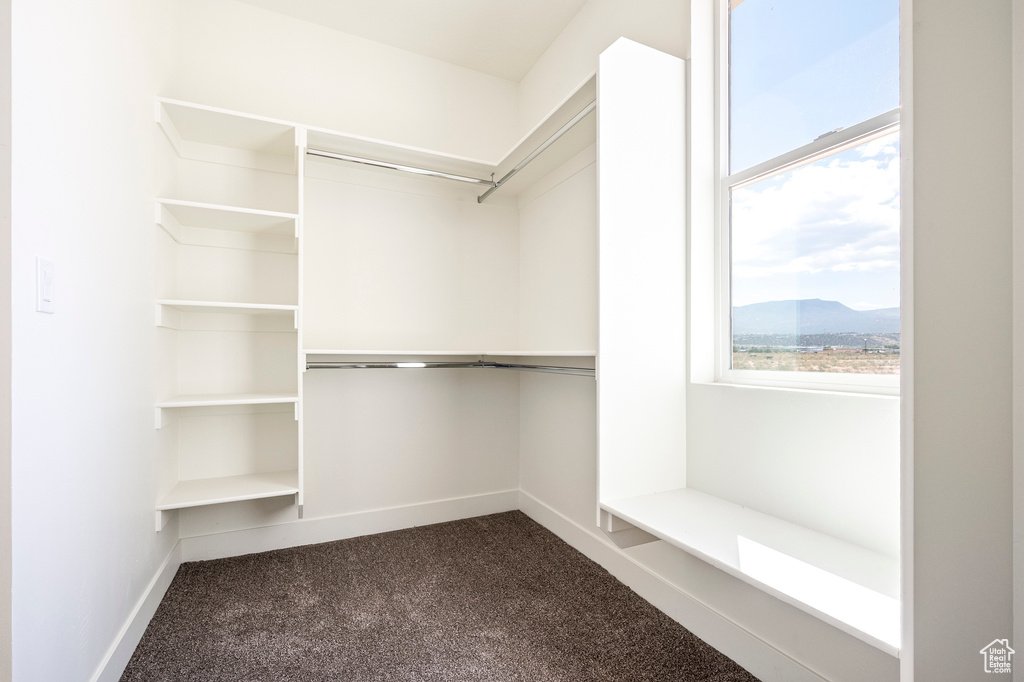 Spacious closet featuring dark colored carpet