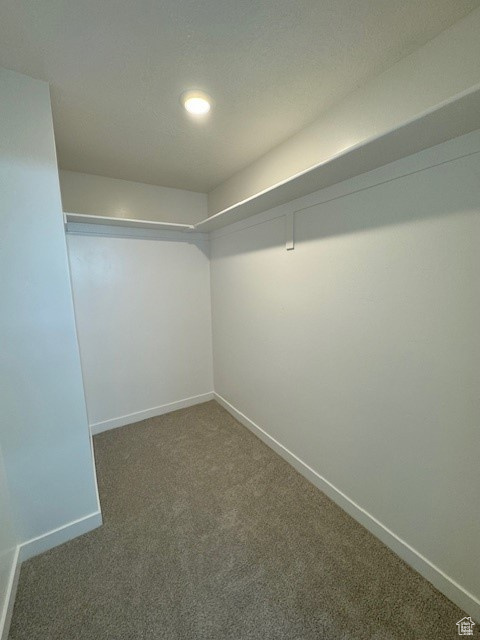 Spacious closet with carpet flooring