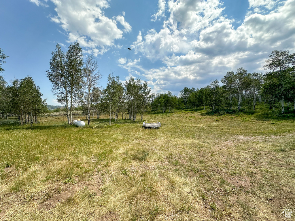 View of yard featuring a rural view