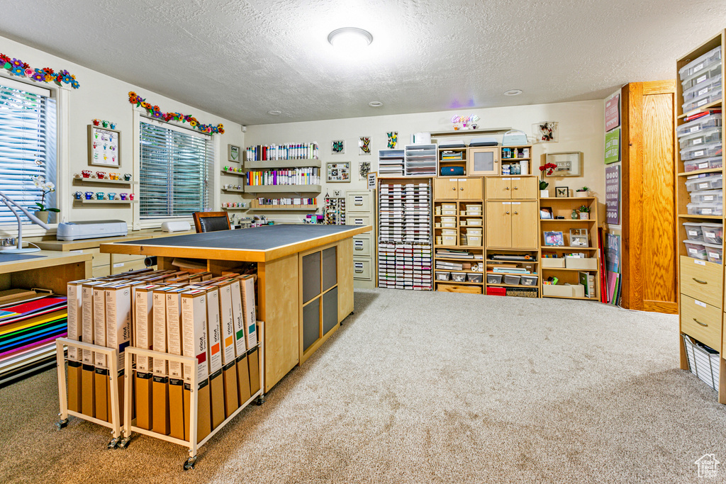 Interior space featuring carpet floors and a textured ceiling