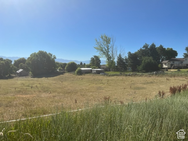 View of local wilderness with a rural view