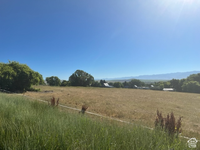 View of local wilderness with a rural view