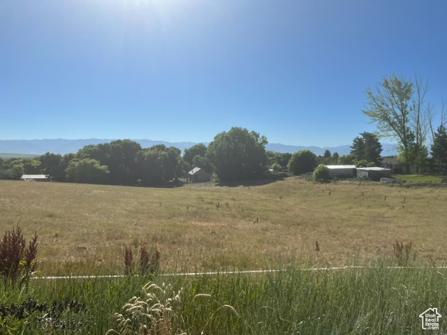 View of local wilderness with a rural view