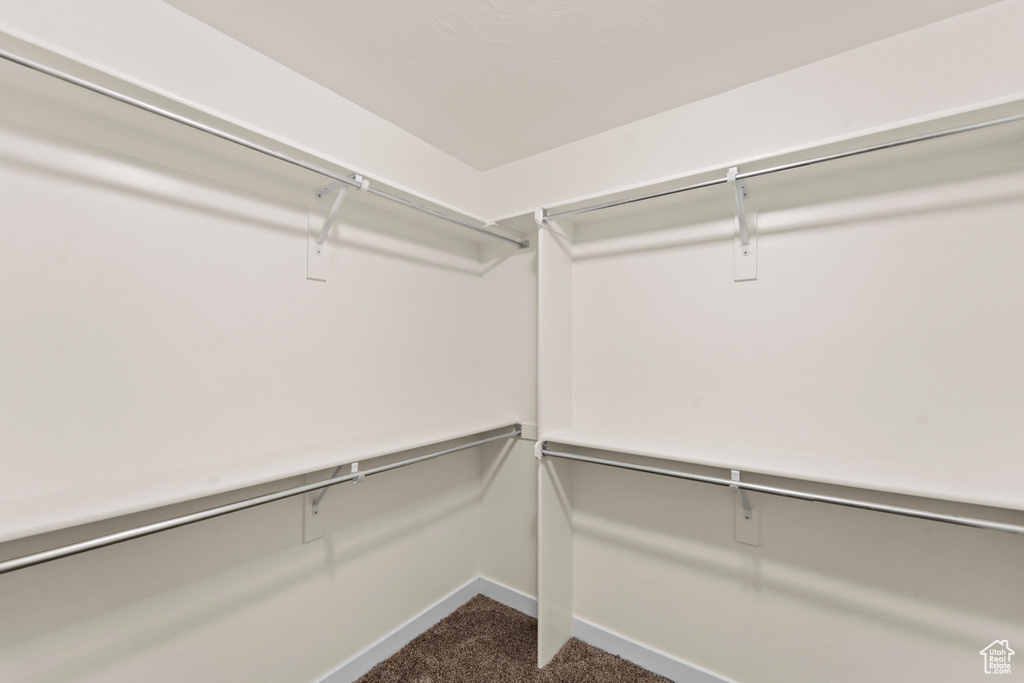 Spacious closet featuring dark carpet