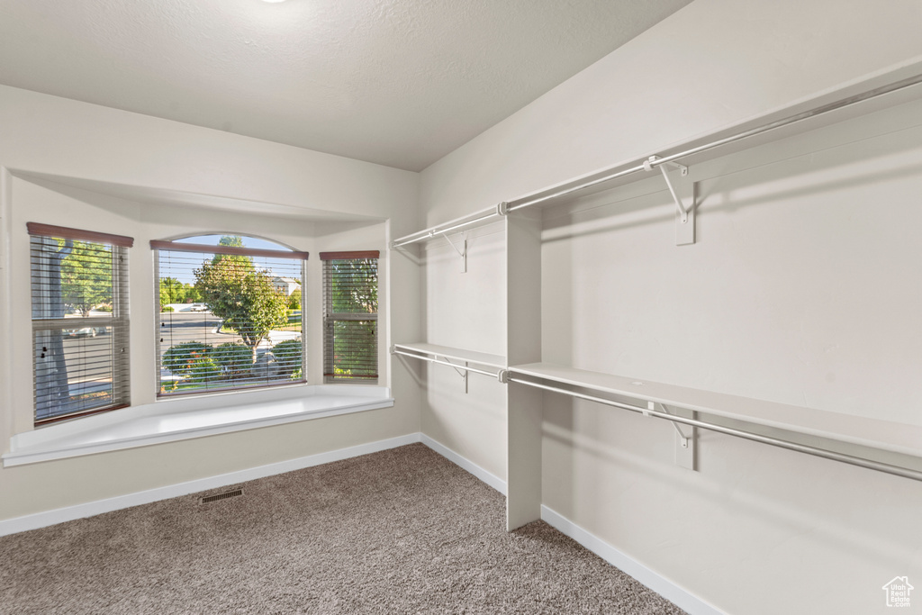 Spacious closet with carpet