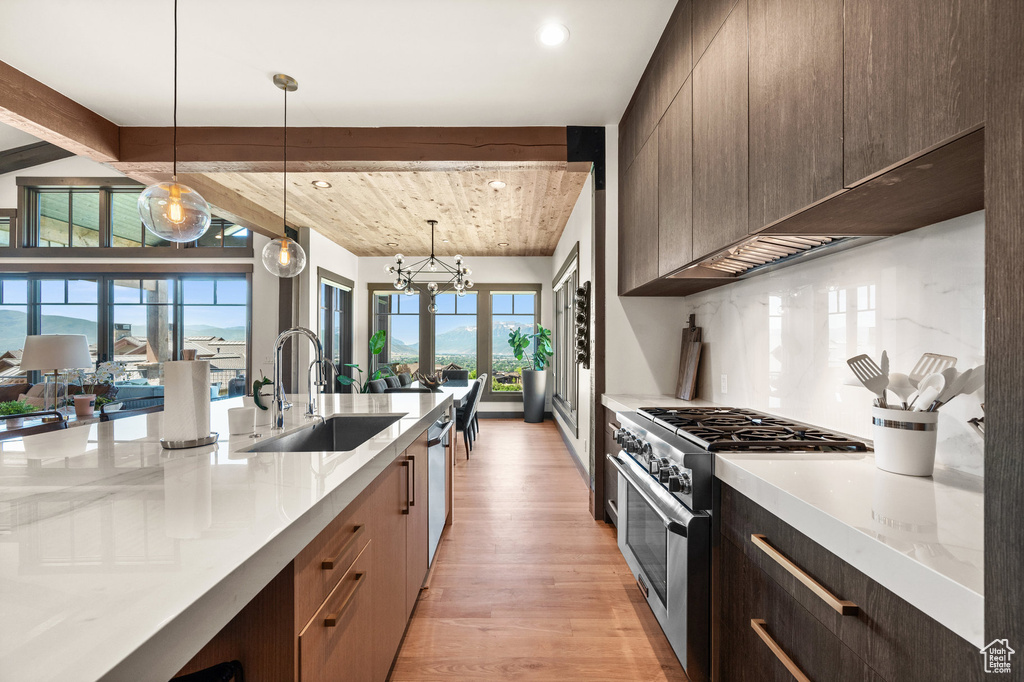 Kitchen featuring light hardwood / wood-style floors, pendant lighting, stainless steel appliances, and plenty of natural light