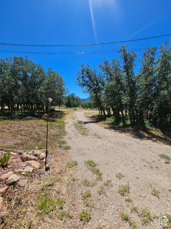 View of road