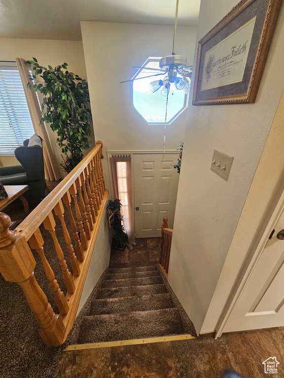 Stairway with dark colored carpet and ceiling fan