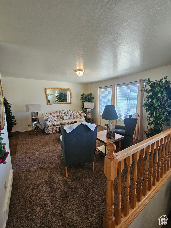 Living room with dark colored carpet and a textured ceiling