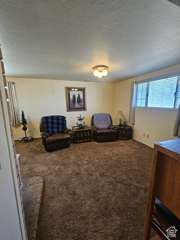 Living room with carpet floors and a textured ceiling