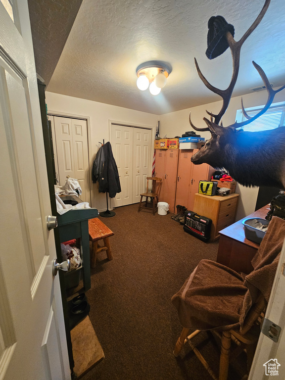 Interior space featuring carpet flooring and a textured ceiling