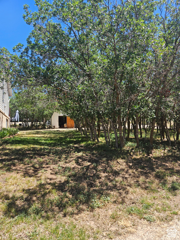 View of yard with an outbuilding