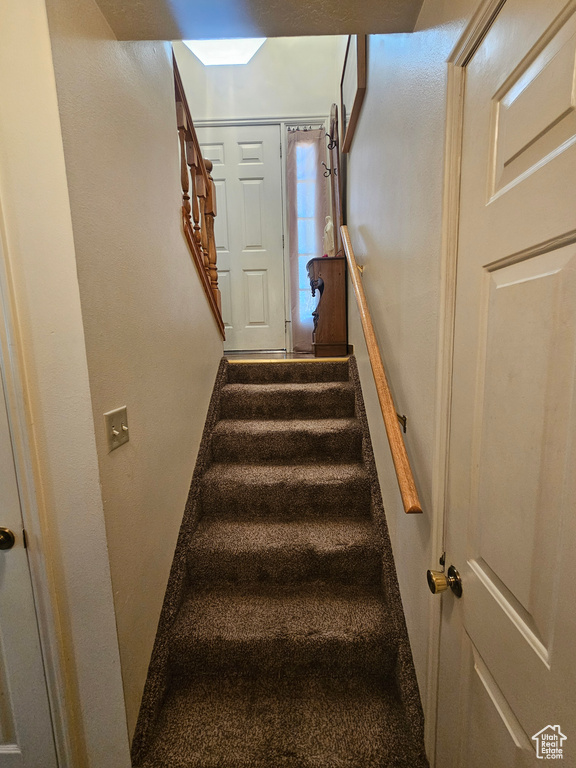 Staircase featuring carpet