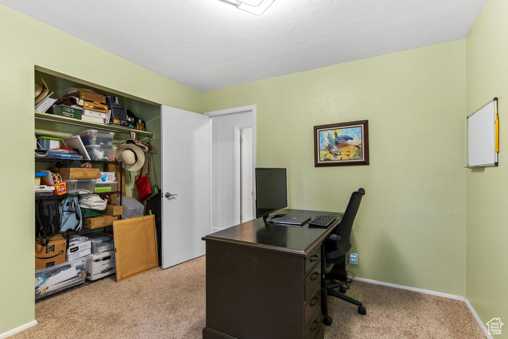 Office featuring carpet floors