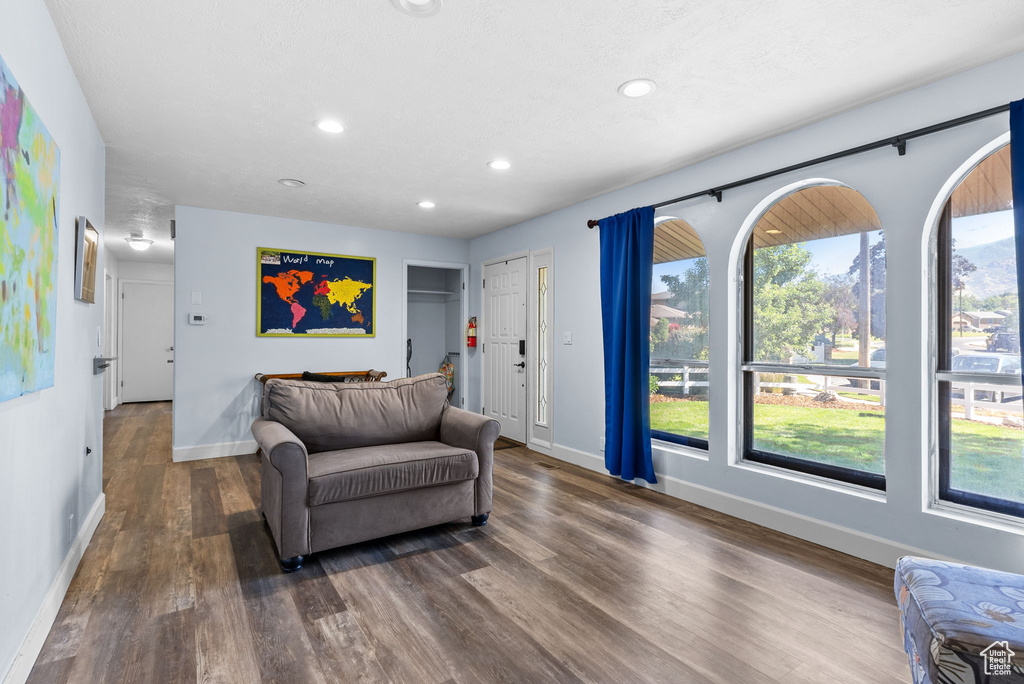 Living room featuring dark wood-type flooring