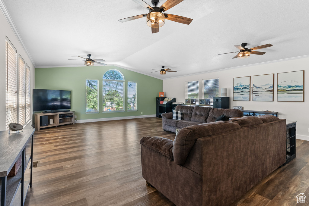 Living room featuring dark hardwood / wood-style floors, a healthy amount of sunlight, and crown molding