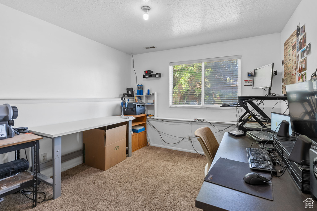 Office space featuring light carpet and a textured ceiling