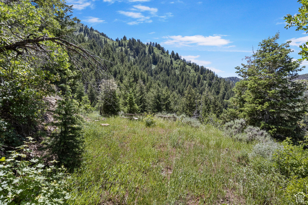 Property view of mountains