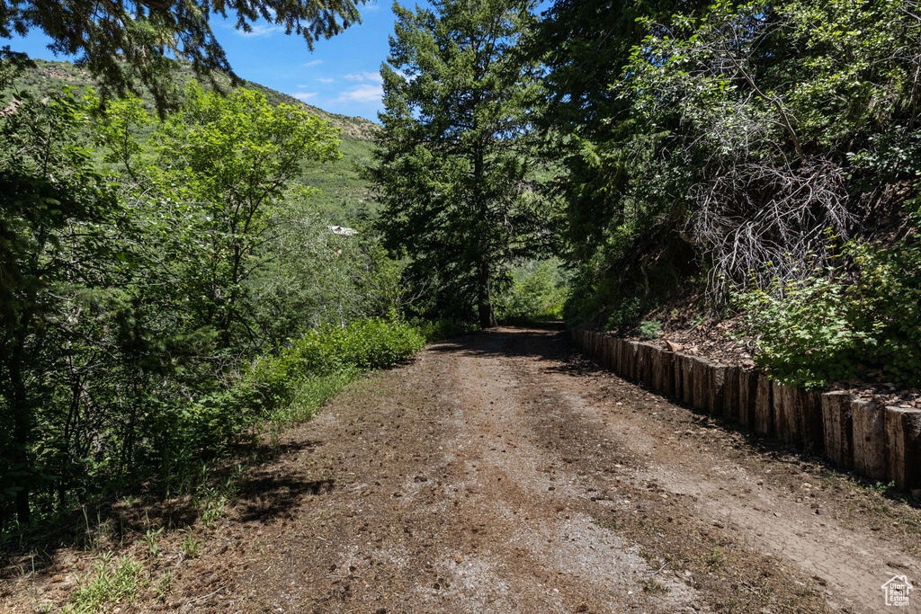 View of road