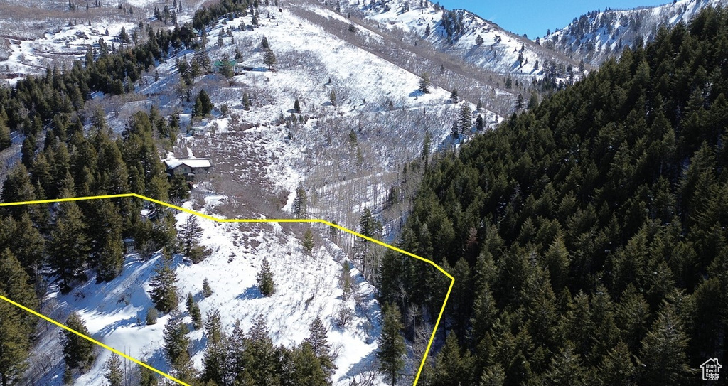 Snowy aerial view with a mountain view