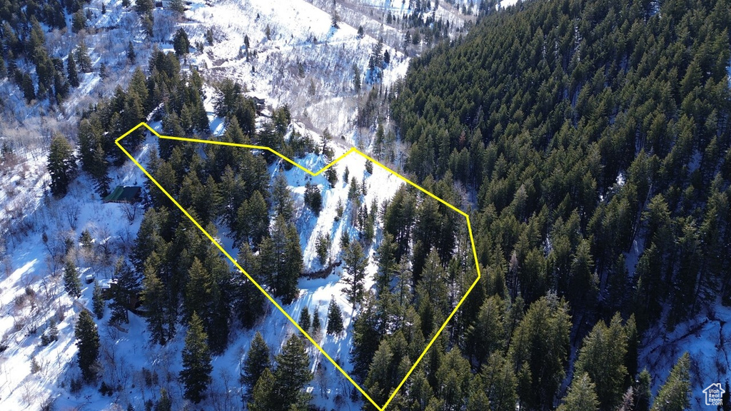 Snowy aerial view with a mountain view