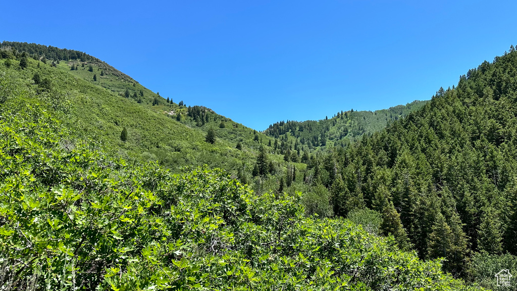 View of mountain feature