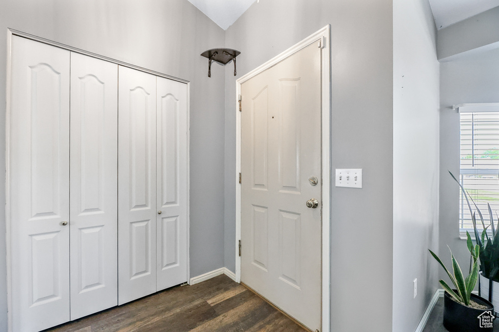 Entrance foyer with dark hardwood / wood-style floors