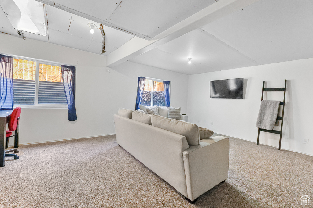 Living room featuring carpet