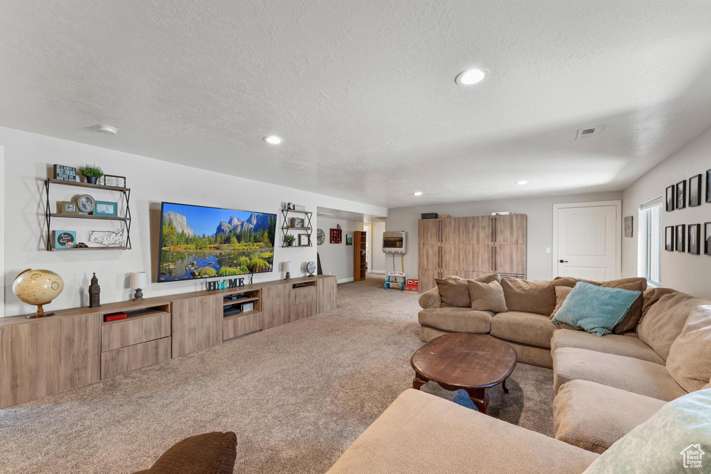 Living room with carpet and a textured ceiling