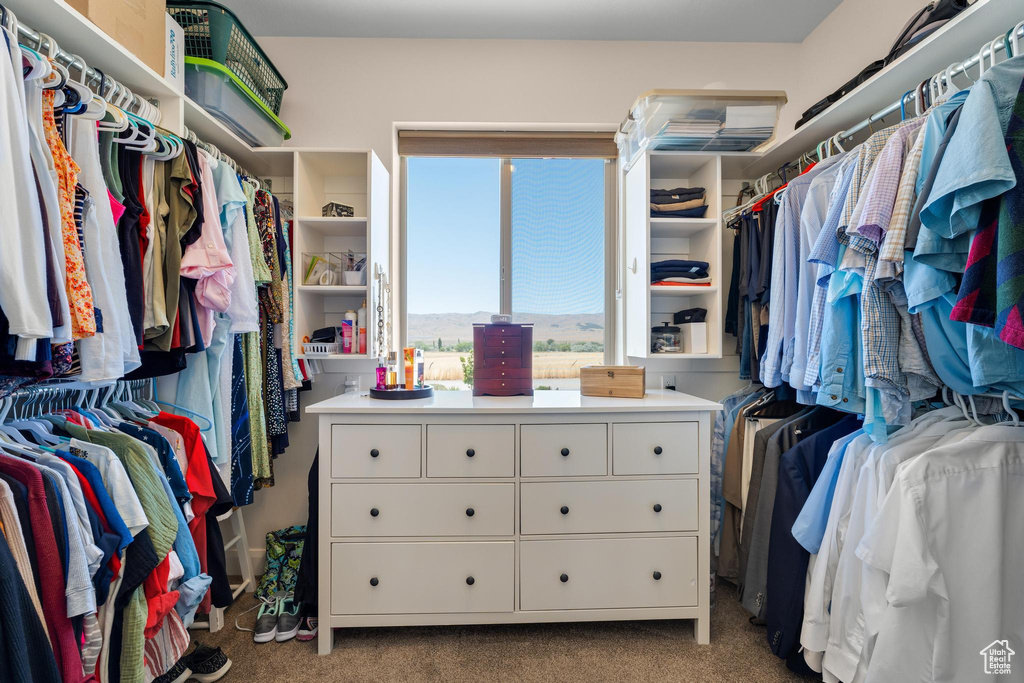 Spacious closet featuring carpet