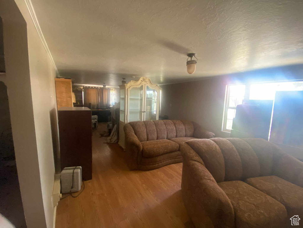 Living room featuring hardwood / wood-style flooring and a textured ceiling