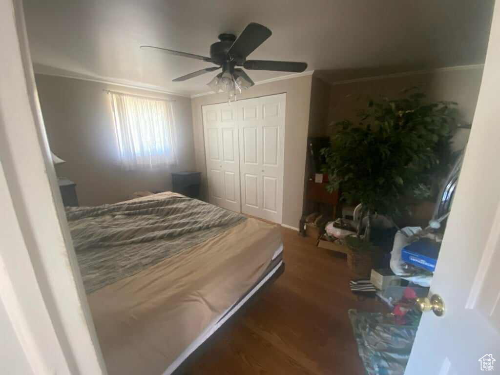 Bedroom featuring crown molding, ceiling fan, hardwood / wood-style floors, and a closet